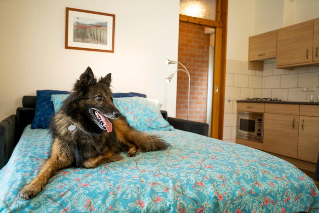 Alojamento de Turismo Rural Charmecamping & De Regge-vallei *